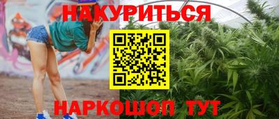 шишки Обь