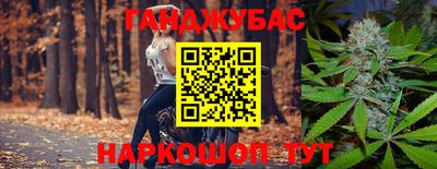 шишки Обь