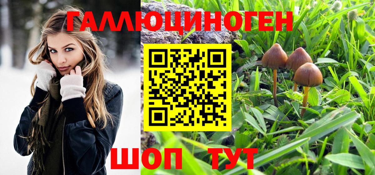 Псилоцибиновые грибы прущие грибы  сколько стоит  Вход с VPN  Рыбинск  Галлюциногенные грибы мухоморы 